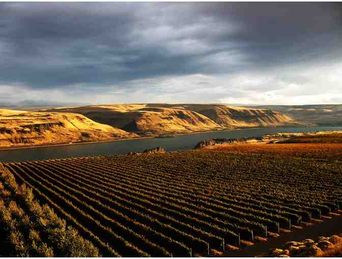 Tour & Tasting for 8 at Maryhill Winery