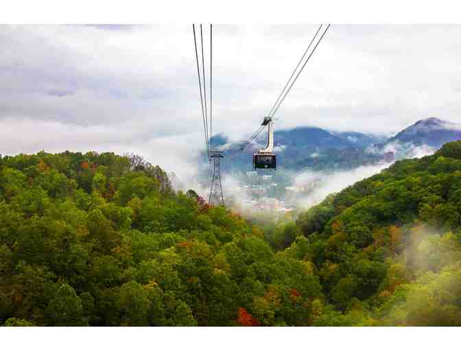 7-Night Resort Getaway to the Smokies!