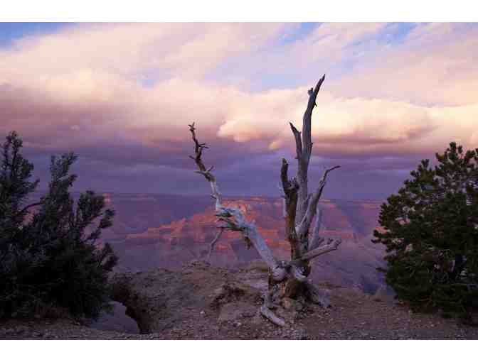 Grand Canyon Starry Nights