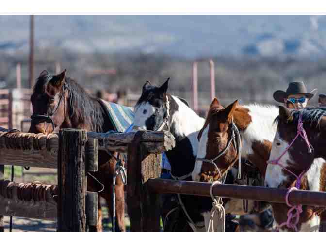 All-Inclusive Ranch Getaway in Benson, AZ! - Photo 3