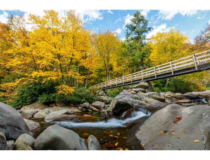 The Smokies & More! 7-Night Resort Stay - Photo 5