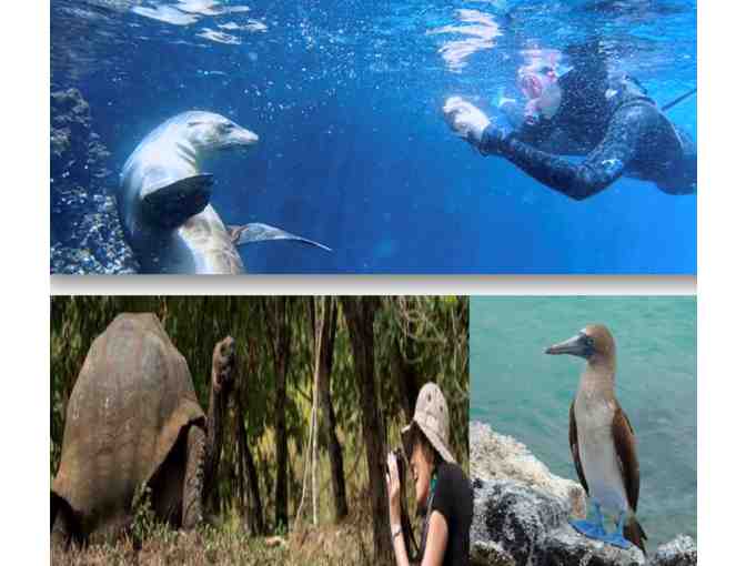 Galapagos Island Adventure For Two