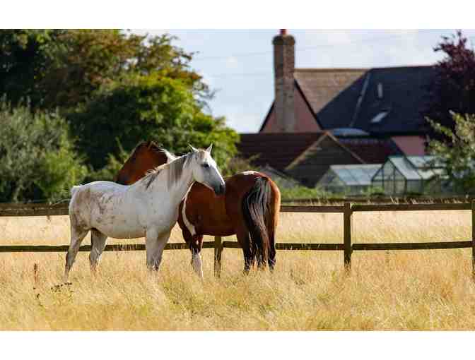 3 Nights in Kentucky with Horse Farm Tour! - Photo 5