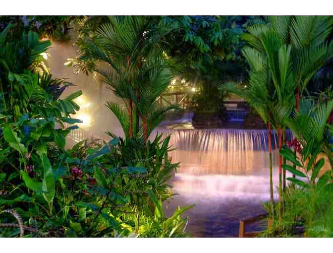 Thermal Bath Adventure to Costa Rica