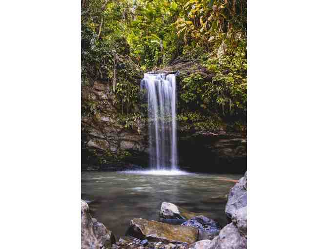 Wonderments of Puerto Rico - Photo 2