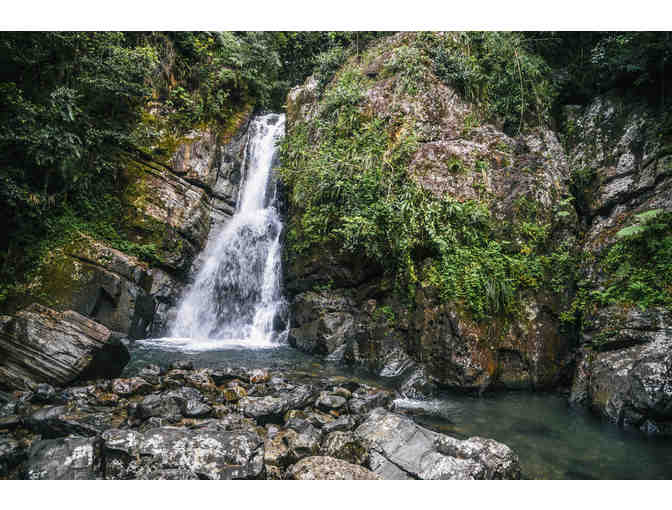 Wonderments of Puerto Rico - Photo 4