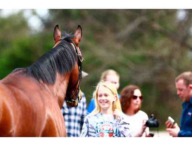 3 Nights in Kentucky with Horse Farm Tour! - Photo 6