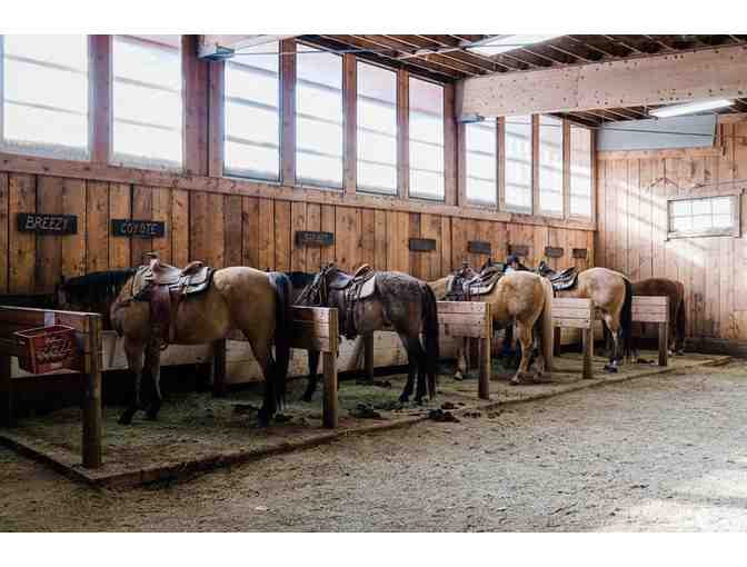 Bunk and Breakfast at Colorado Ranch