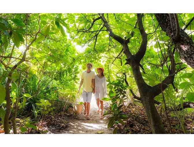 Escape to Nanuku Resort Fiji!