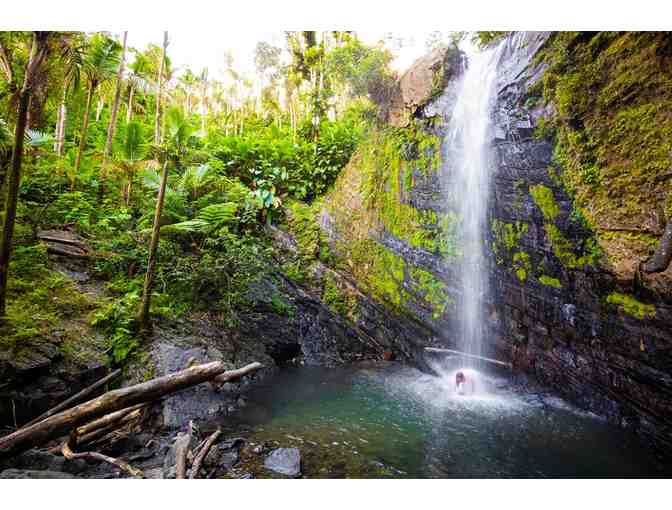 4 Nights in Puerto Rico + Rainforest Tour