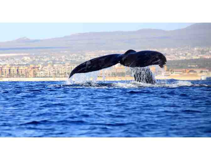 Choose Your 4-Night All-Inclusive Getaway