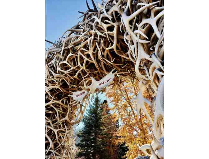 Snowy Slopes of Jackson Hole