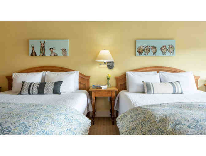 Snowy Slopes of Jackson Hole