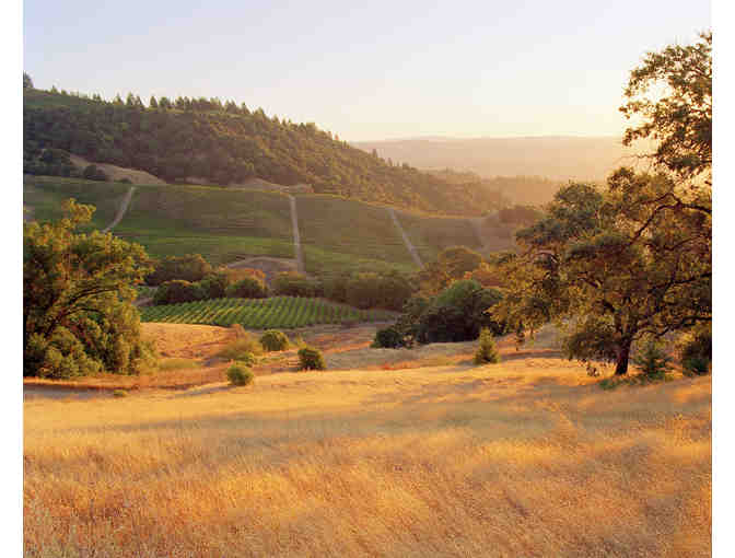 The Best of Food and Wine &acirc; Healdsburg