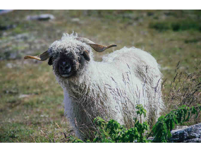 Glacier Express in Switzerland
