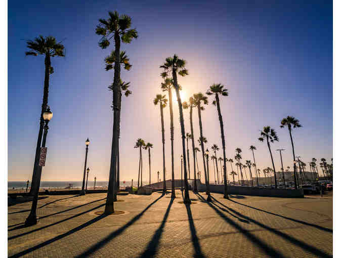 Surf Lessons in the California Sun