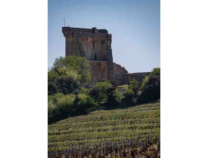 VIEWS OF VAN GOGH - Photo 7