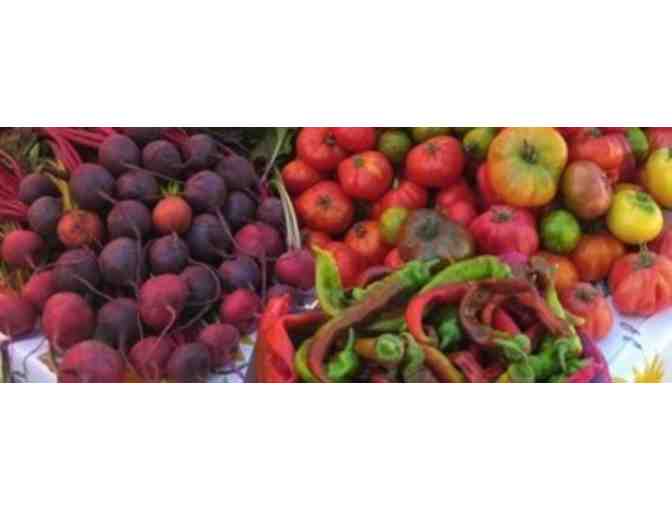 Four weekly CSA boxes of fresh, nutritious, locally grown produce from Singing Frogs Farm