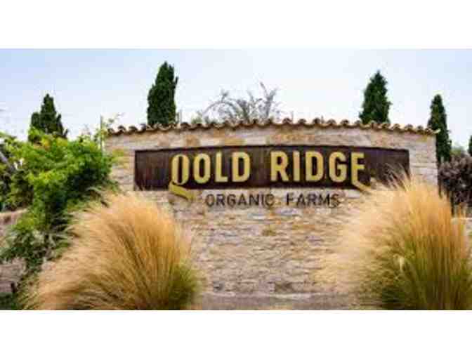 Organic Olive Oil Tasting Exploration & Farm Tour for Four