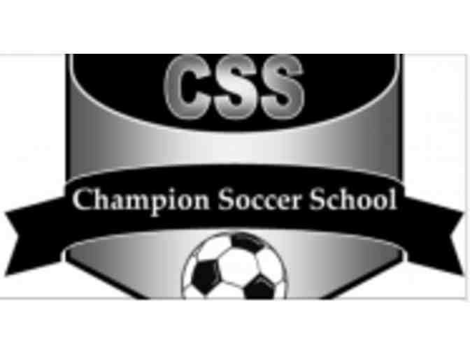 Champion Soccer School - Belmont Summer Pass to 10 weeks of programs!