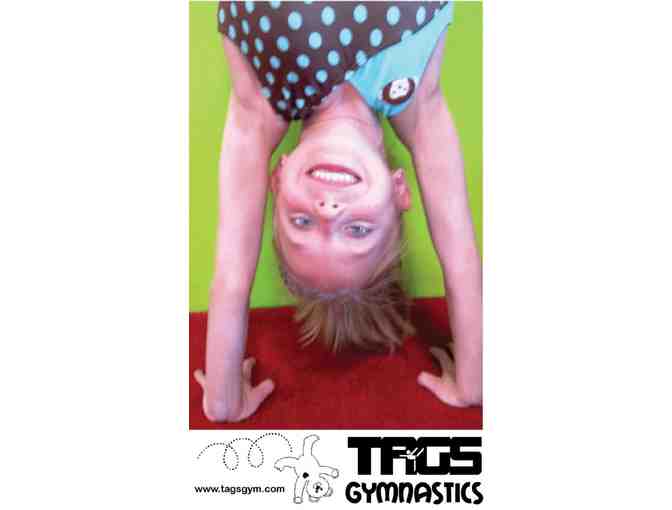 TAGS Gymnastics, EP or Apple Valley - One 9-week Summer Session of Lessons