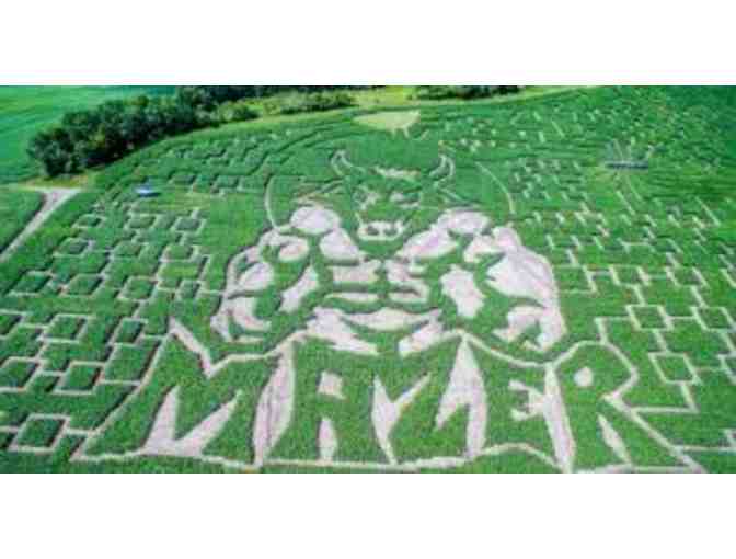 Get Lost in the Great Vermont Corn Maze!