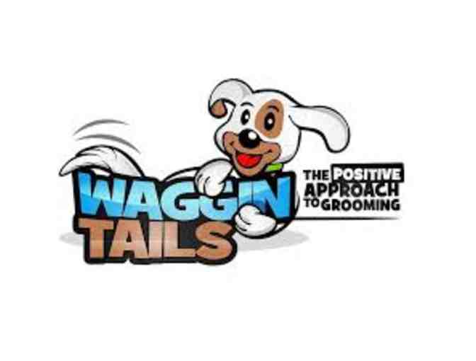 $50 Gift Certificate to Waggin' Tails Grooming