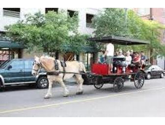 Carriage Ride??  Only in Charleston South Carolina!