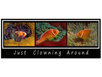 Just Clowning Around By 'Oceans of Images'