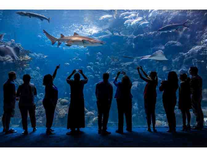 Florida Aquarium Tickets