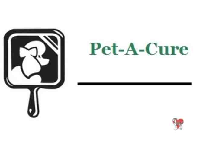 1 Full Pet Grooming at Pet -A-Cure - Photo 1