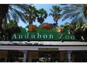 Animal Encounters at Audubon Zoo