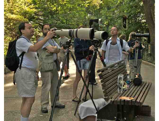 Photo Safari at the National Zoo