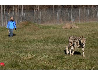 VIP Tour of Cheetah Science Facility