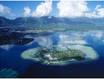VIP Tour of Marine Science Station-Hawaii's Coconut Island