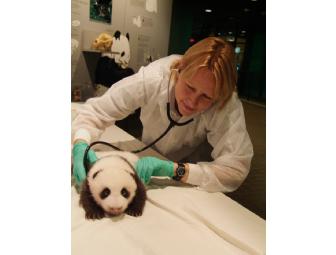 VIP Tour of National Zoo Veterinary Hospital and Medical Rounds