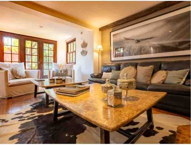 4-Man Argentina Dove Hunt - Photo 4