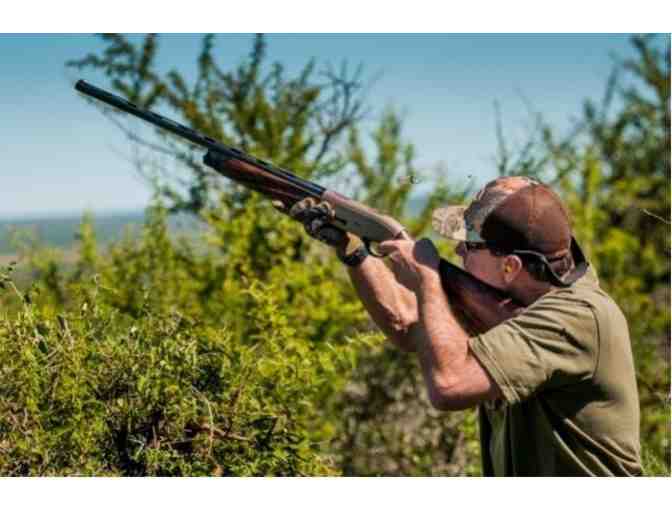 4-Man Argentina Dove Hunt - Photo 5
