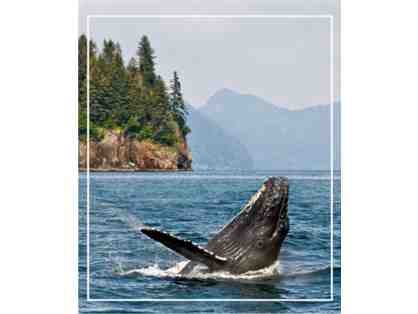 Alaska Cruise: The Call of the Wild