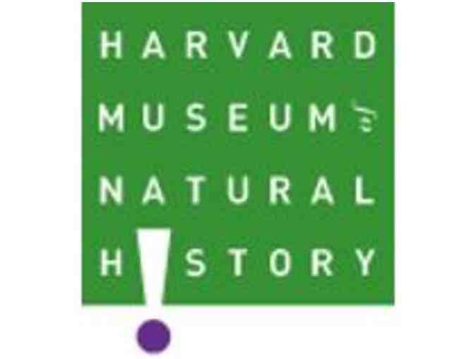 4 passes - Harvard Museum of Natural History