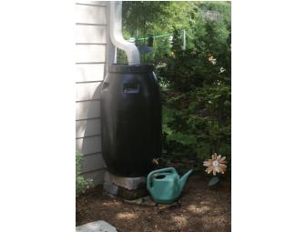 Roll Out the Rain Barrel