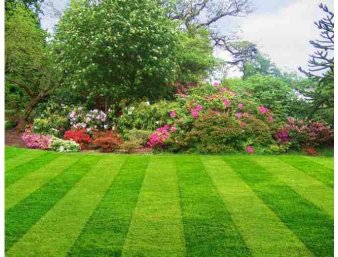 Lawns in Order Gift Certificate
