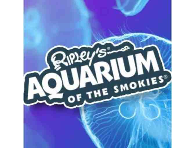 Ripley's Aquarium of the Smokies