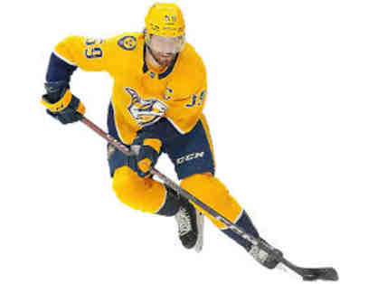 6. Predators Game