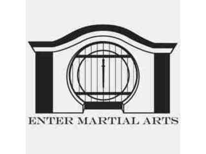 Enter Martial Arts: Kung Fu - Wushu: One Hour Private Lesson (2 of 2)