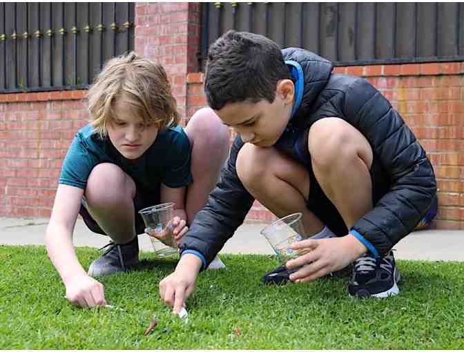 ASTEME Math and Stem Learning Center: One Week Summer Camp Session