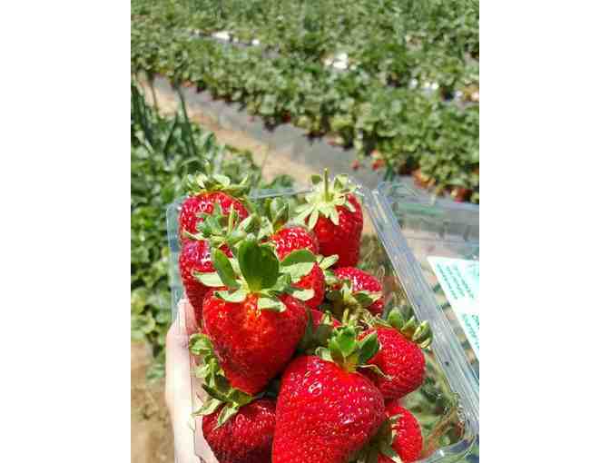 Tanaka Farms: $150 Gift Certificate