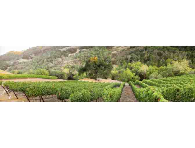 Cutruzzola Vineyards: Wine Tasting and Cheese Pairing for 2
