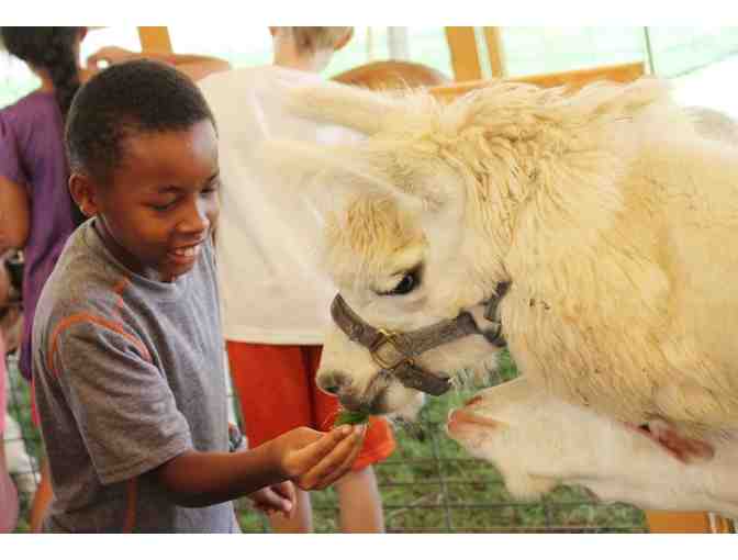 LA County Fair - Admission for 4 + Parking Pass*