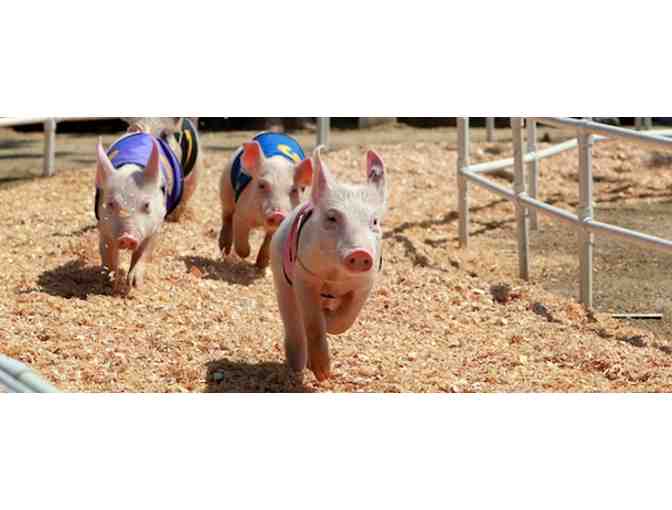 LA County Fair - Admission for 4 + Parking Pass*